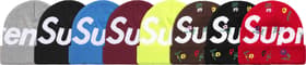 Big Logo Beanie