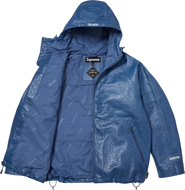 GORE-TEX Ostrich Embosssed Leather Jacket - Blue (detail)