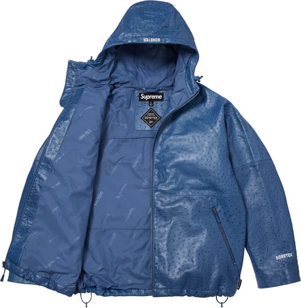 GORE-TEX Ostrich Embosssed Leather Jacket - Blue (detail)