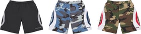 Paneled Water Short
