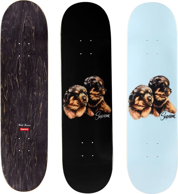 Puppies Skateboard - Group Shot