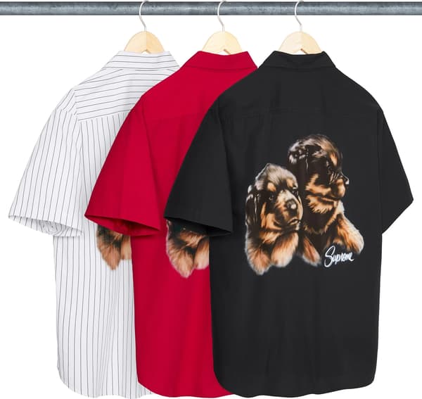 Puppies S/S Work Shirt - Group Shot