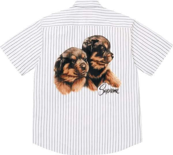 Puppies S/S Work Shirt - Stripe (detail)