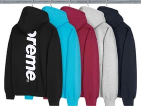 Satin Appliqué Zip Up Hooded Sweatshirt