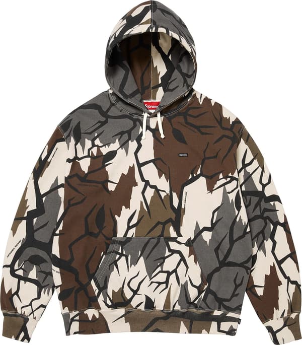 Small Box Hooded Sweatshirt - Predator Camo (front)