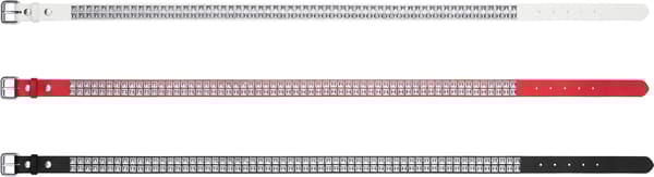 Studded Leather Belt - Group Shot