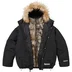 Supreme 2-in-1 GORE-TEX Parka + Reversible 700-Fill Down Liner Jacket - Black (front)
