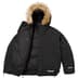 Supreme 2-in-1 GORE-TEX Parka + Reversible 700-Fill Down Liner Jacket - Black (front)