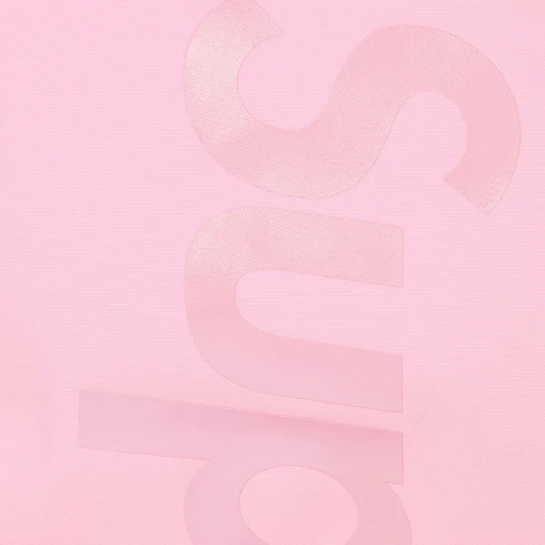 Supreme 2-in-1 GORE-TEX Parka + Reversible 700-Fill Down Liner Jacket - Light Pink (front)