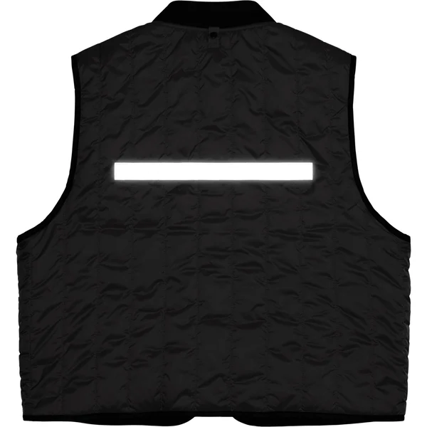 Supreme 2-in-1 GORE-TEX Shell + Quilted Liner Vest - Black (front)