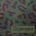 Supreme 700-Fill Down Lightweight Puffer Jacket - Leopard (front)
