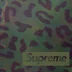Supreme 700-Fill Down Lightweight Puffer Jacket - Leopard (front)