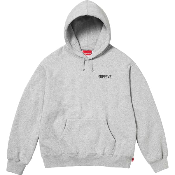 Supreme Anarchy Hooded Sweatshirt - Heather Grey (front)