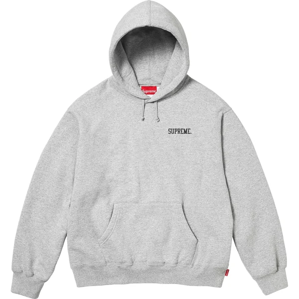 Supreme Anarchy Hooded Sweatshirt - Heather Grey (front)