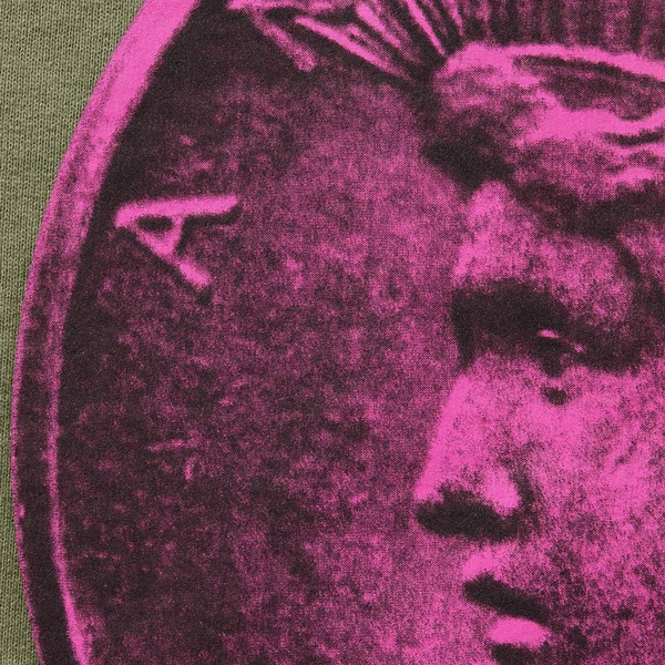 Supreme Anarchy Hooded Sweatshirt - Light Olive (front)