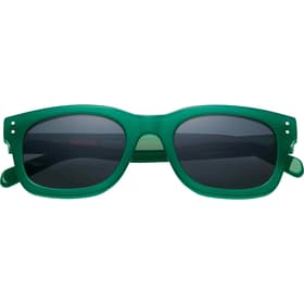 Supreme Avon Sunglasses Dark Green