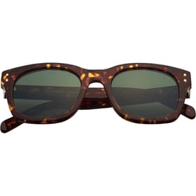 Supreme Avon Sunglasses Tortoise