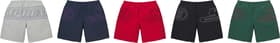 Supreme Big Logo Nylon Short