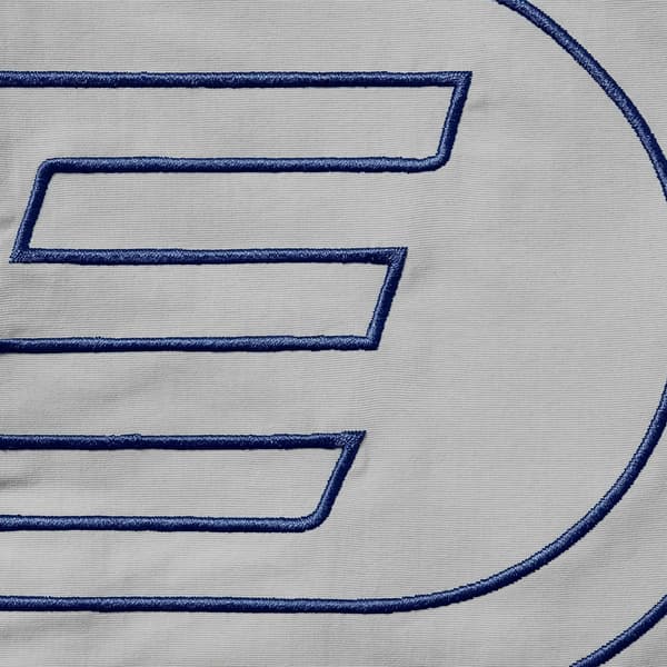 Supreme Big Logo Nylon Short - Grey (front)