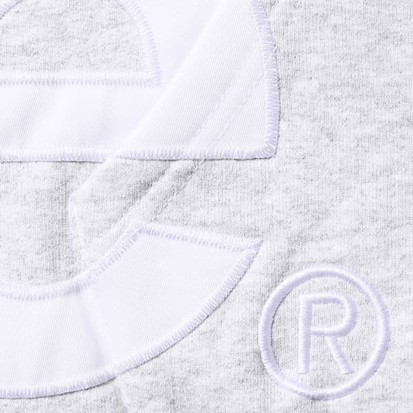 Supreme Big Logo Zip Up Hooded Sweatshirt - Ash Grey (front)