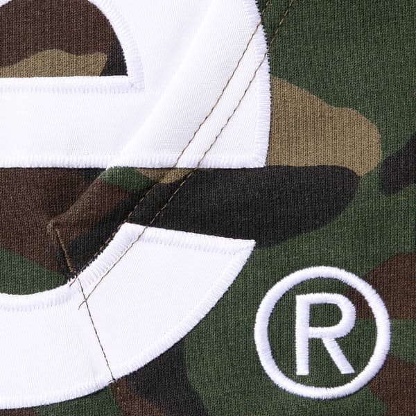Supreme Big Logo Zip Up Hooded Sweatshirt - Woodland Camo (front)
