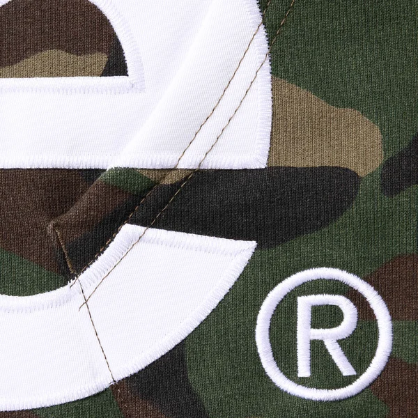 Supreme Big Logo Zip Up Hooded Sweatshirt - Woodland Camo (front)