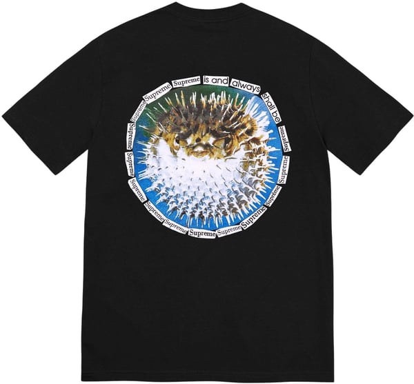 Supreme Blowfish Tee - Product Image