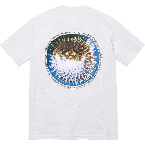 Supreme Blowfish Tee - Ash Grey (front)