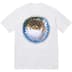 Supreme Blowfish Tee - Ash Grey (front)