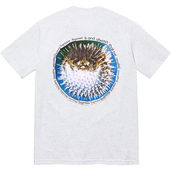 Supreme Blowfish Tee - Ash Grey (front)