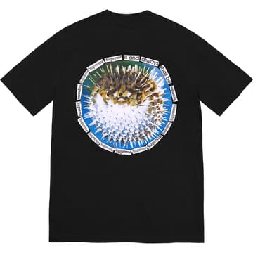 Supreme Blowfish Tee