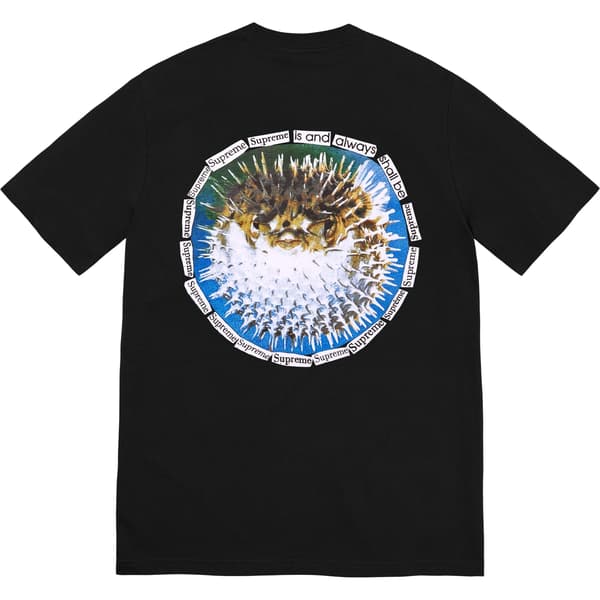 Supreme Blowfish Tee - Black (front)
