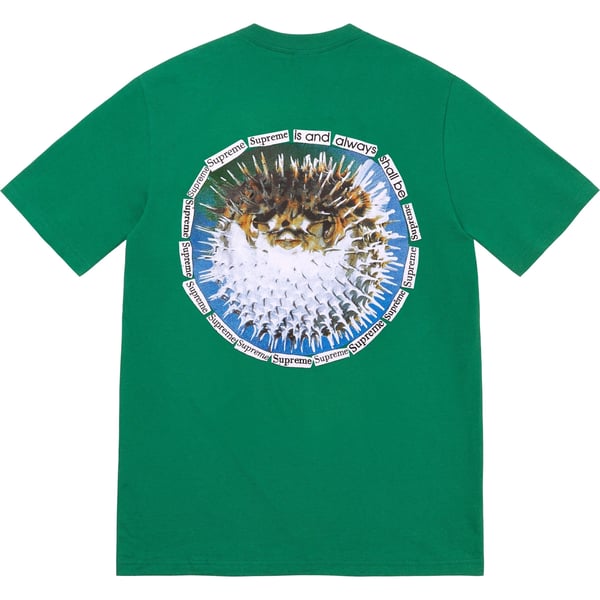 Supreme Blowfish Tee - Light Pine (front)