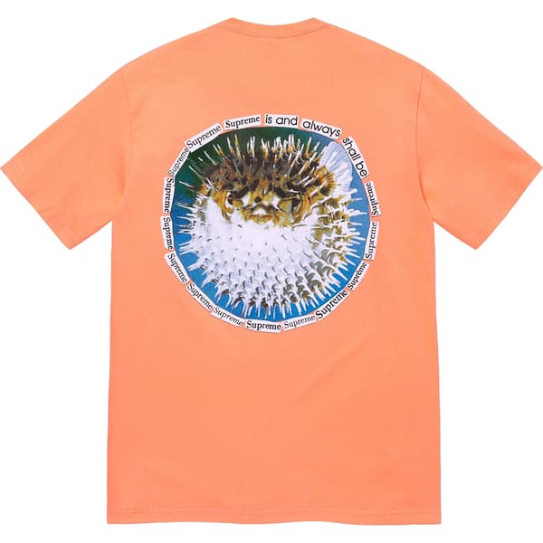 Supreme Blowfish Tee - Peach (front)