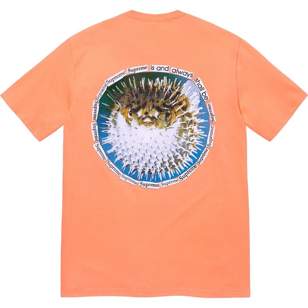 Supreme Blowfish Tee - Peach (front)