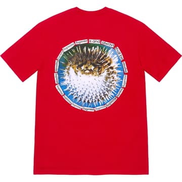 Supreme Blowfish Tee