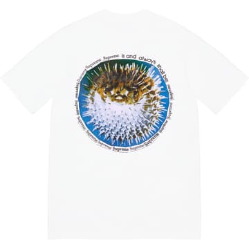 Supreme Blowfish Tee