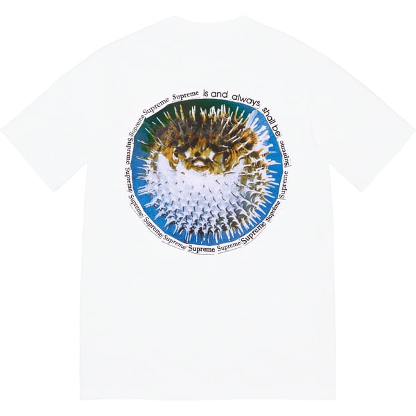 Supreme Blowfish Tee - White (front)