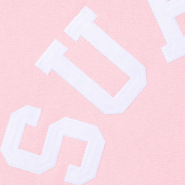 Supreme Champion Hooded Sweatshirt - Pink (front)