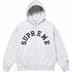 Supreme Champion Zip Up Hooded Sweatshirt - Ash Grey (front)