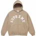 Supreme Champion Zip Up Hooded Sweatshirt - Tan (front)