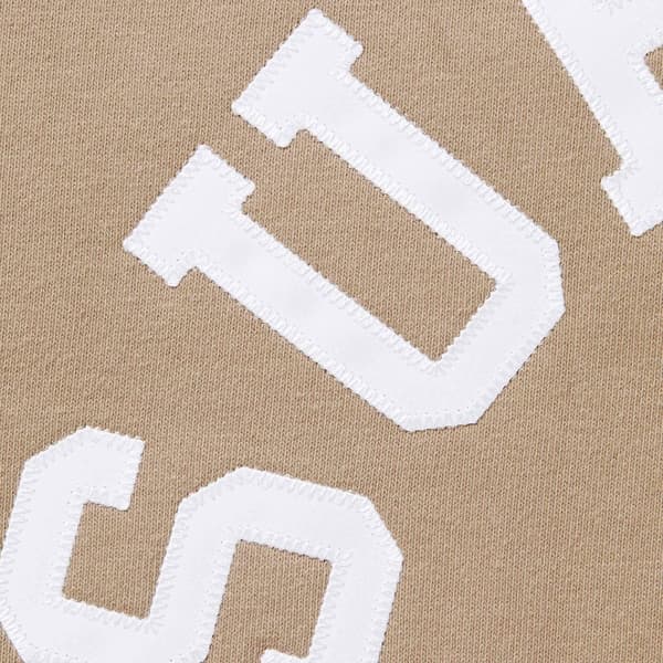 Supreme Champion Zip Up Hooded Sweatshirt - Tan (front)