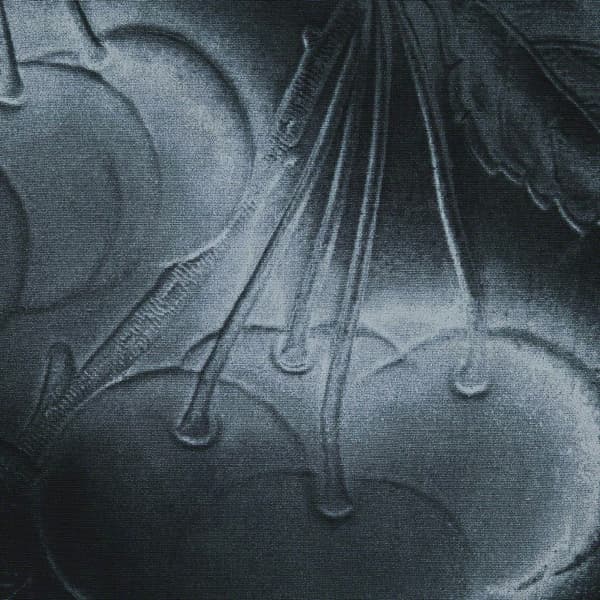 Supreme Cherries S/S Shirt - Black (front)