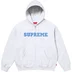 Supreme Collegiate Appliqué Zip Up Hooded Sweatshirt - Ash Grey (front)