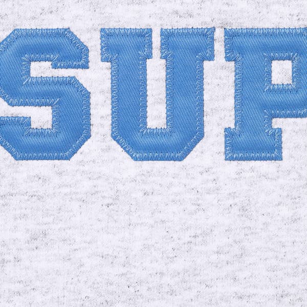 Supreme Collegiate Appliqué Zip Up Hooded Sweatshirt - Ash Grey (front)