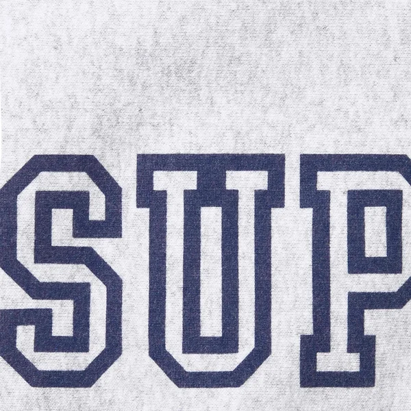 Supreme Collegiate Sleeve Hooded Sweatshirt - Ash Grey (front)
