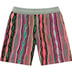 Supreme Coogi Basketball Short - Multicolor (front)