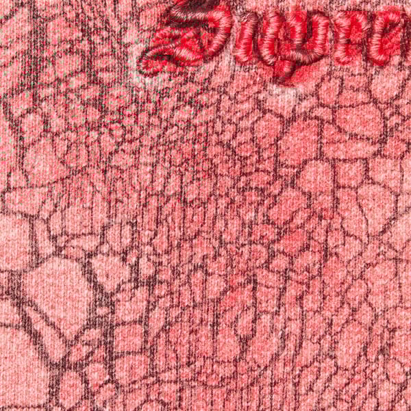 Supreme Crackle Zip Up Hooded Sweatshirt - Red (front)