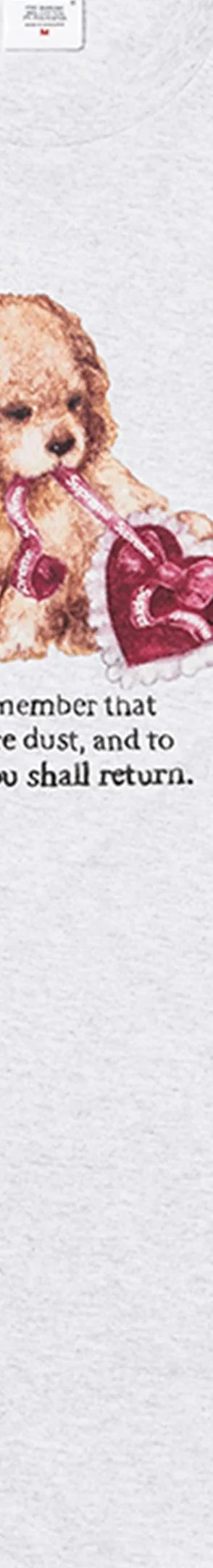 Supreme Dust Tee - Ash Grey (front)