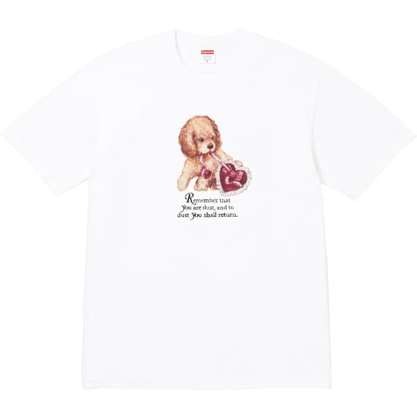 Supreme Dust Tee - White (front)